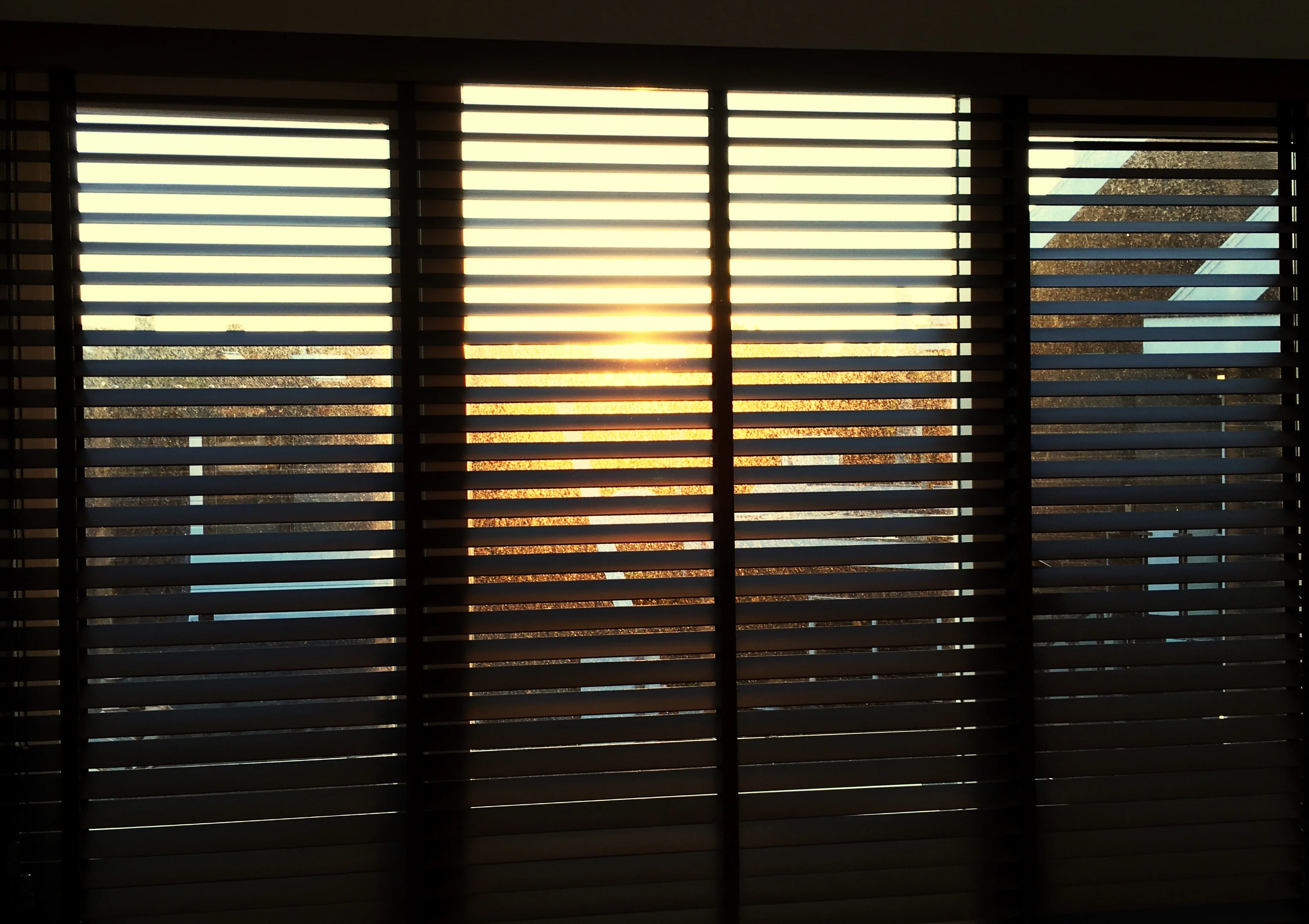 window blind Image