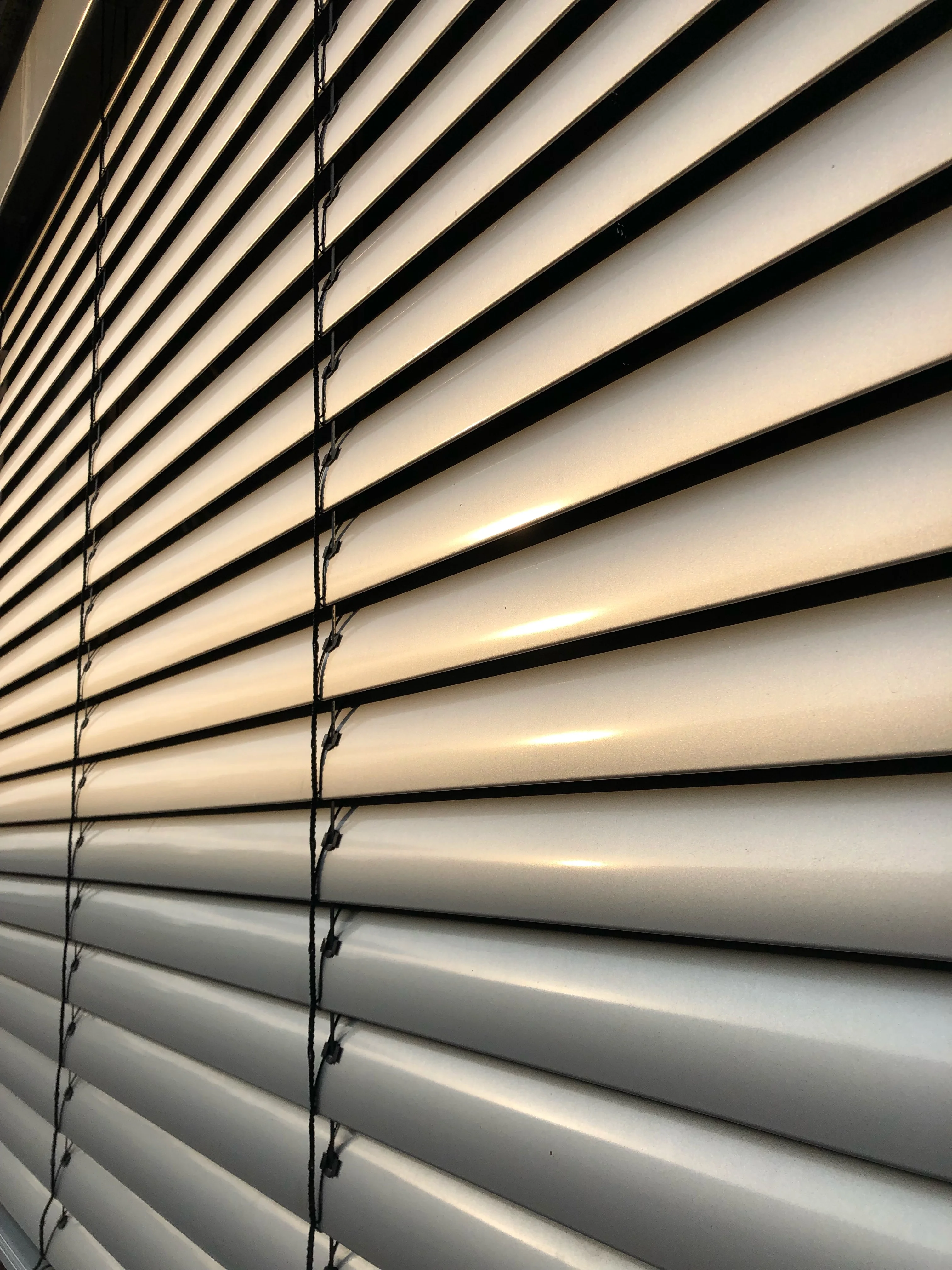 window blind Image