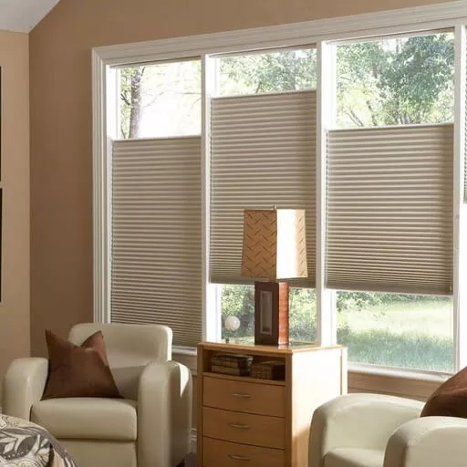 Honeycomb Blinds